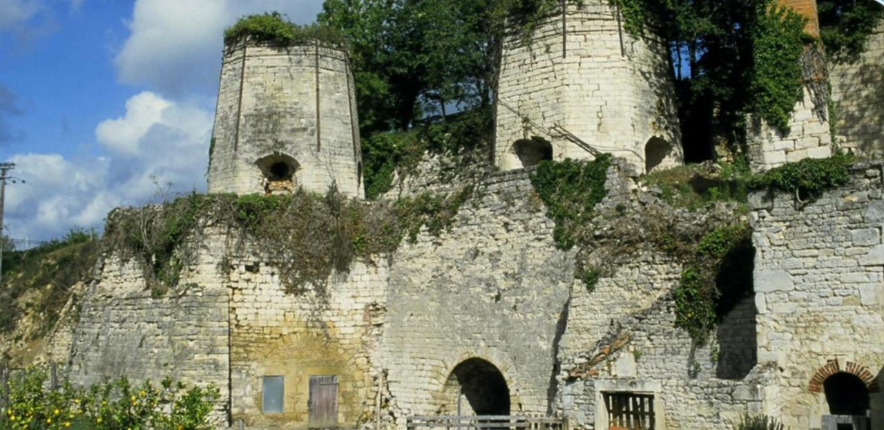 Le Perchoir Nocturne Bed & Breakfast Payre-sur-Vendee Exterior photo